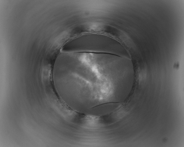 X0000111220328200907091318