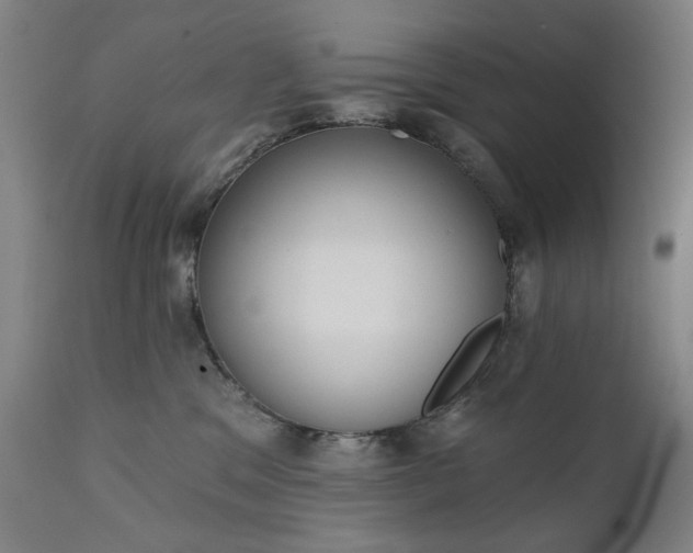 X0000111220329200907091318