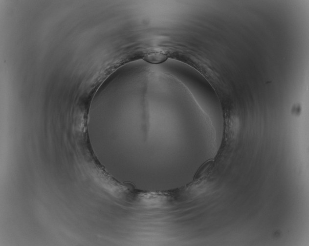 X0000111220331200907091318
