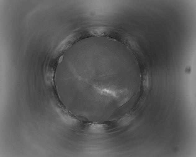 X0000111220332200907091318