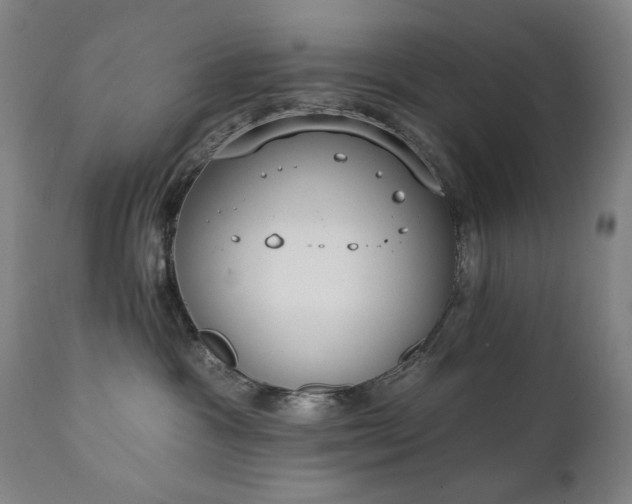 X0000111220333200907091318