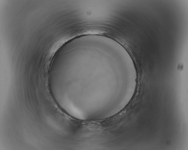 X0000111220337200907091317