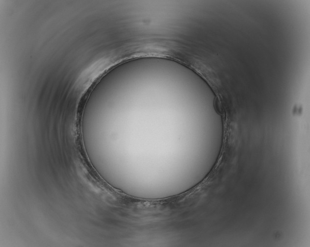 X0000111220338200907091317