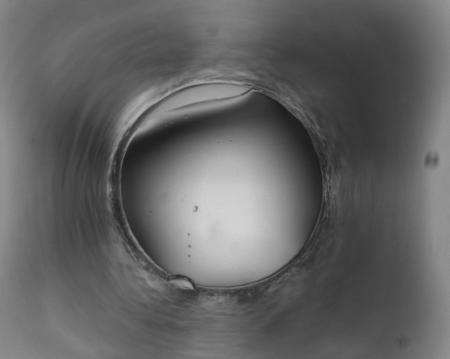 X0000111220340200907091317