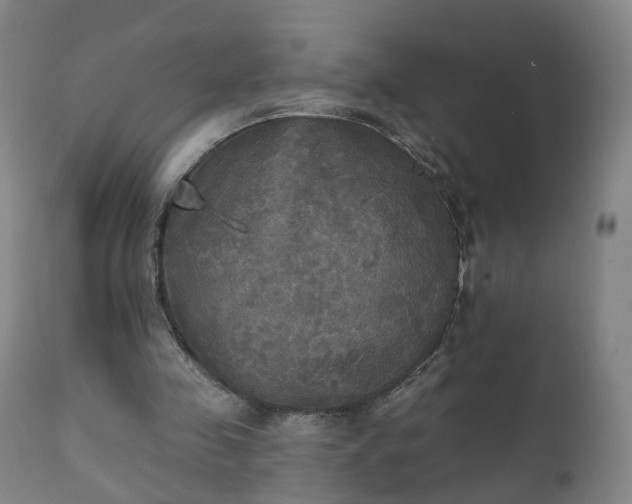 X0000111220341200907091317