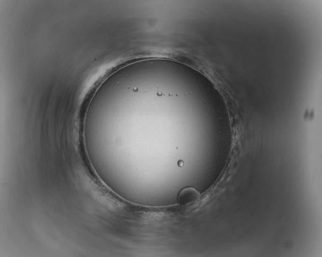 X0000111220342200907091317