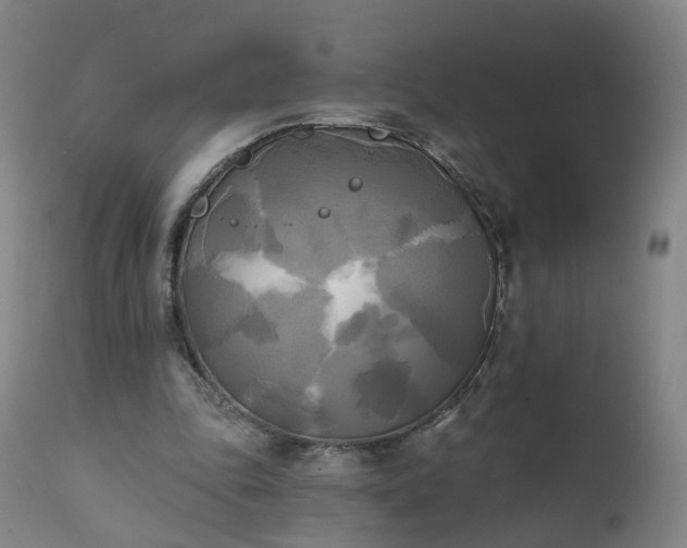 X0000111220343200907091317