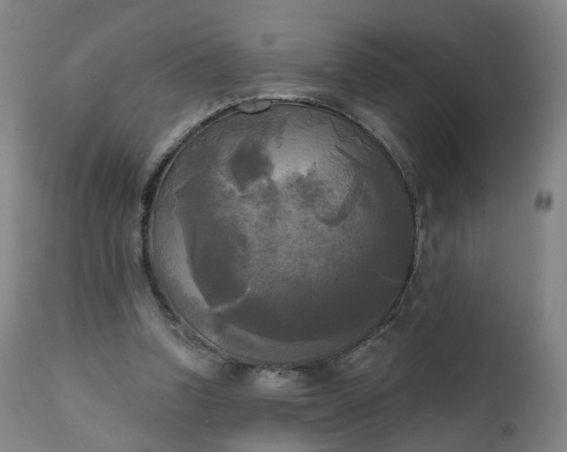 X0000111220346200907091317