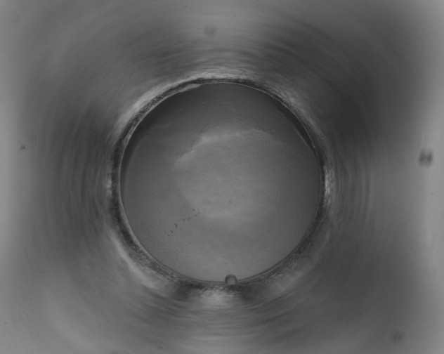 X0000111220348200907091318
