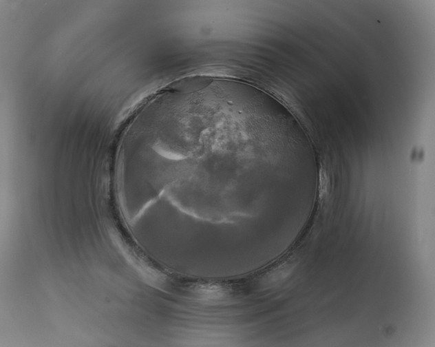 X0000111220349200907091318