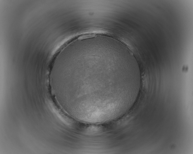 X0000111220350200907091318