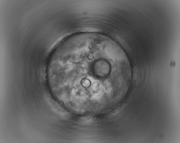 X0000111220351200907091318