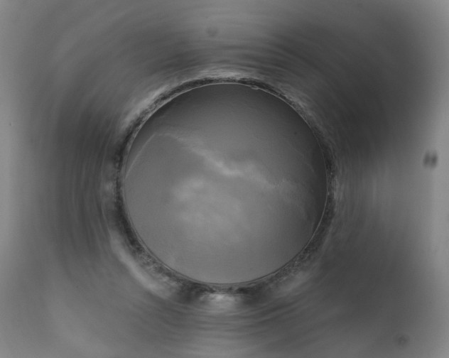 X0000111220352200907091318
