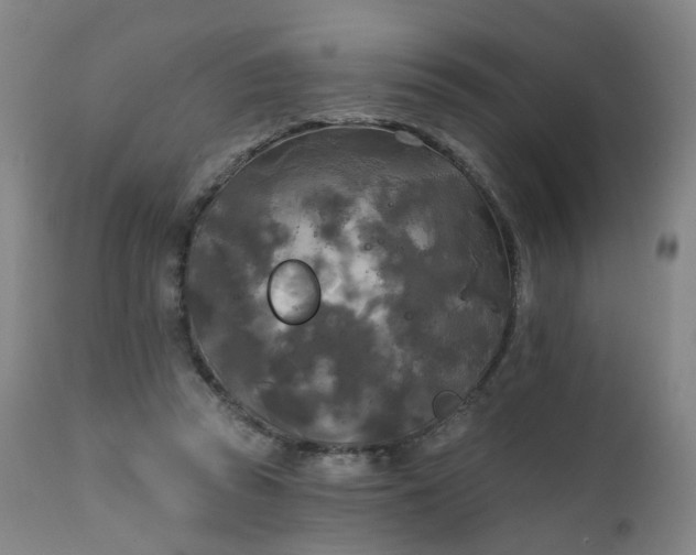 X0000111220353200907091318