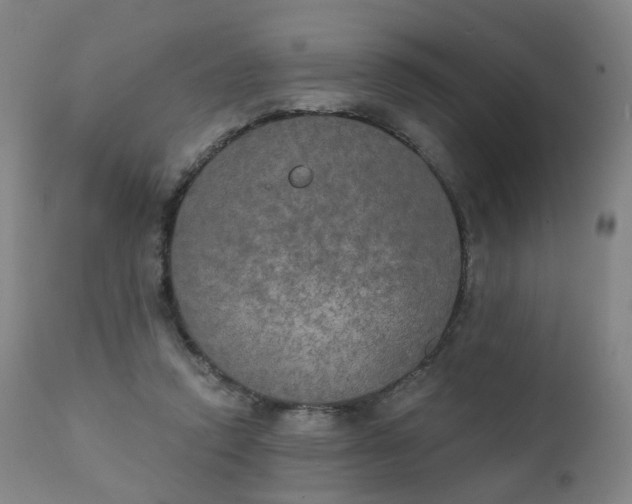 X0000111220354200907091318