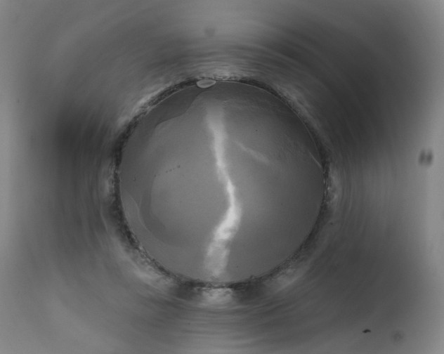 X0000111220355200907091318