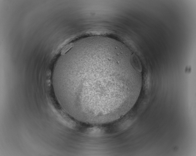 X0000111220356200907091318