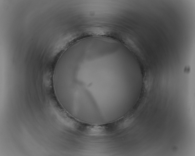 X0000111220359200907091318