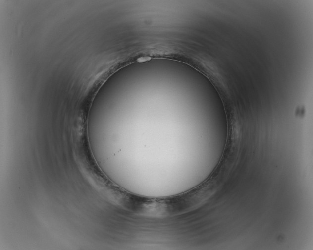 X0000111220362200907091318
