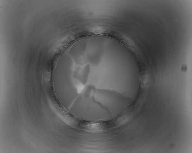 X0000111220365200907091318