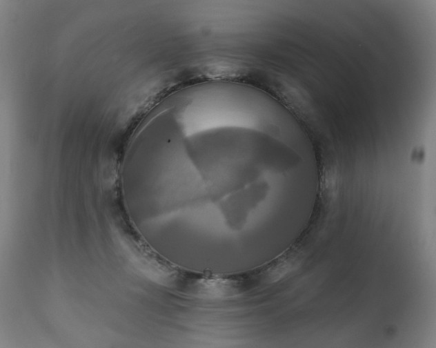 X0000111220367200907091318
