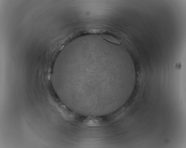 X0000111220368200907091318