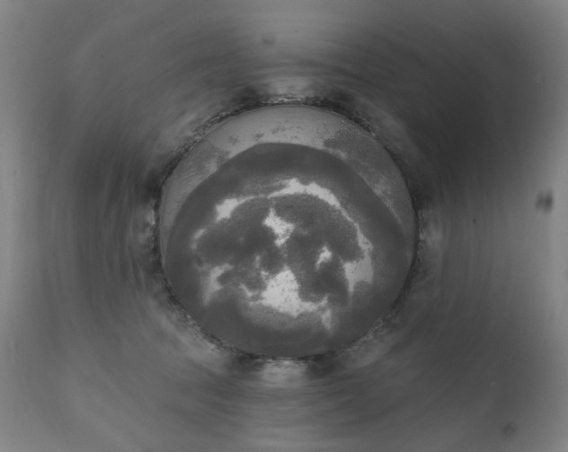 X0000111220369200907091318
