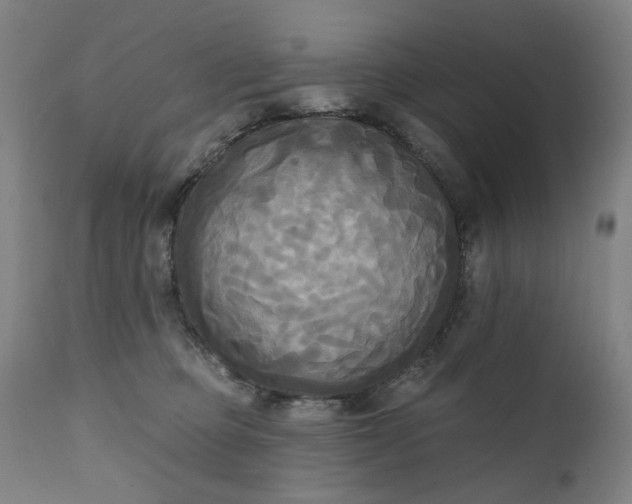 X0000111220373200907091318