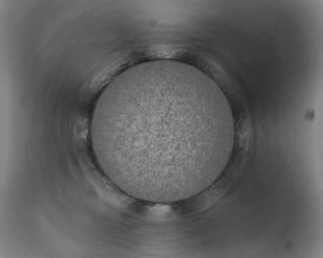 X0000111220374200907091318