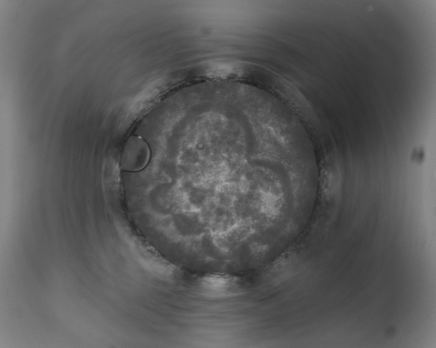 X0000111220375200907091318