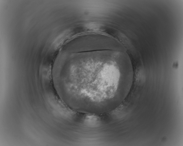 X0000111220376200907091318
