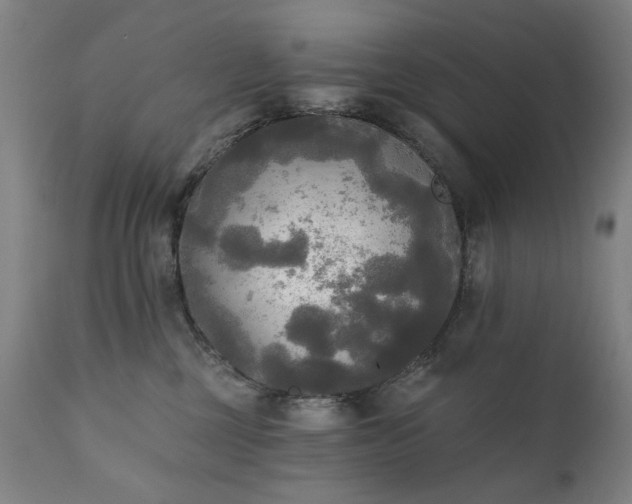 X0000111220377200907091318
