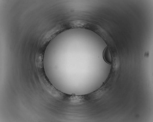 X0000111220378200907091318