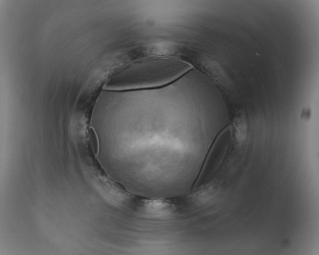 X0000111220380200907091318