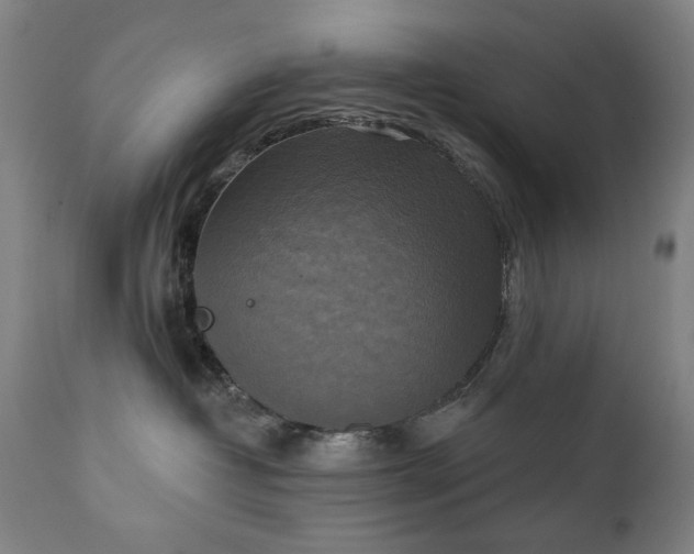 X0000111220382200907091318