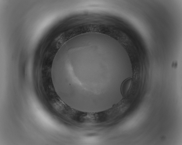 X0000111220383200907091318