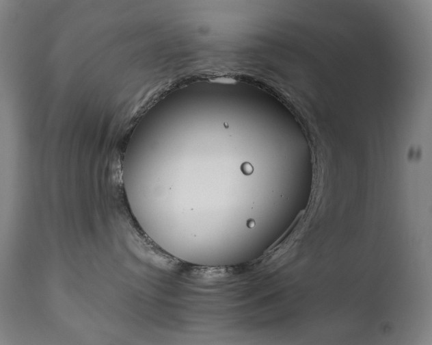 X0000111220384200907091318