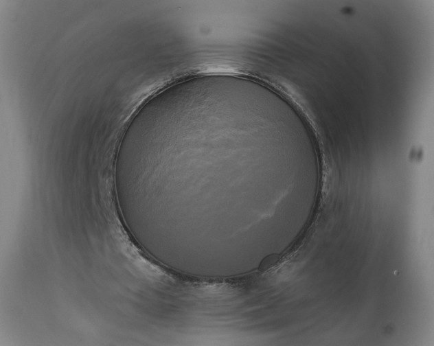 X0000111220385200907091317