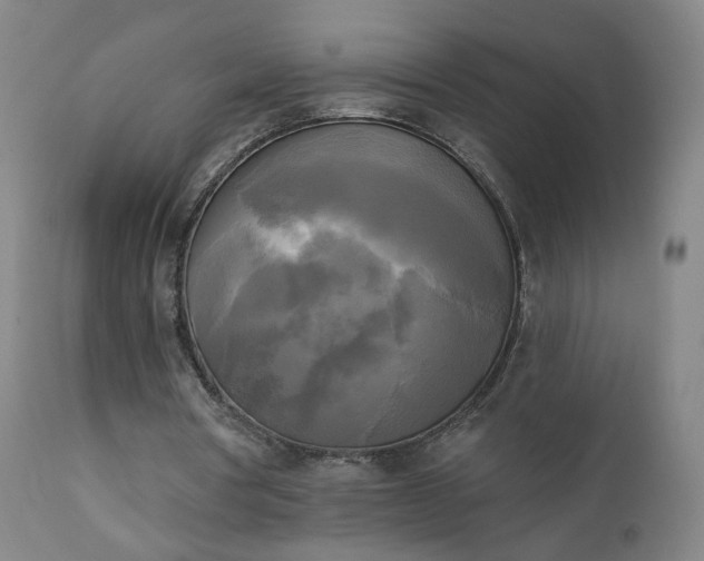 X0000111220386200907091317