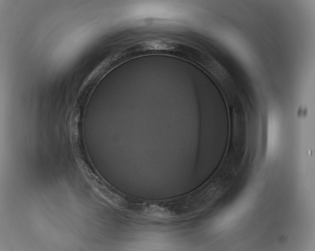X0000111220387200907091317