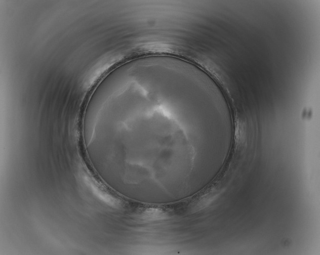 X0000111220390200907091317
