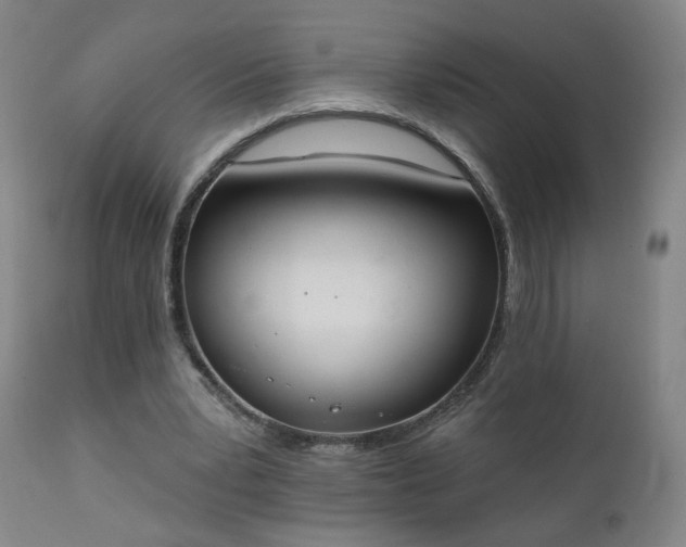 X0000111220391200907091317