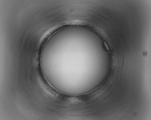 X0000111220392200907091317