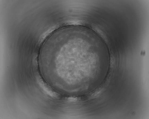 X0000111220394200907091317