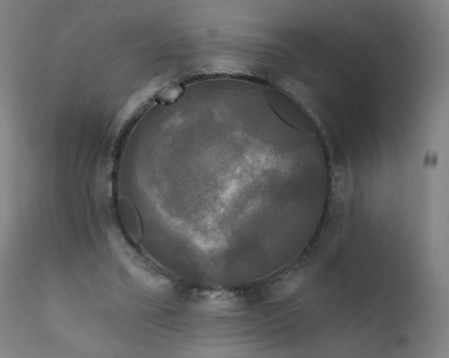 X0000111220395200907091317