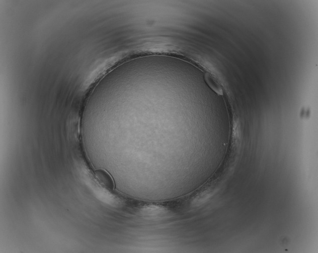 X0000111220397200907091317