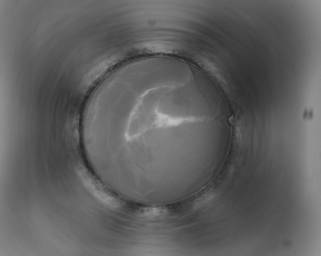 X0000111220398200907091317