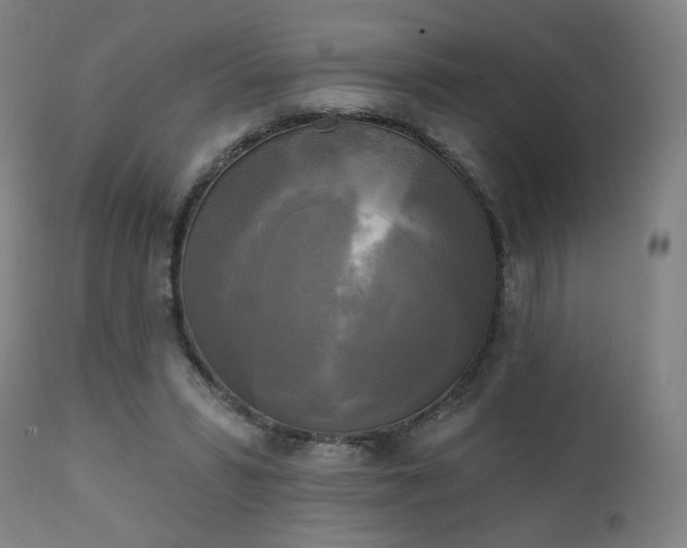X0000111220399200907091317