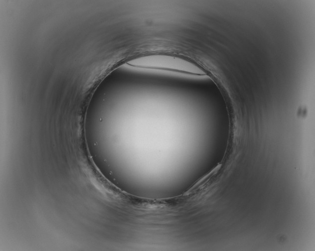 X0000111220401200907091317