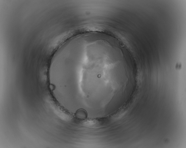 X0000111220402200907091317